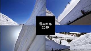 圧巻の雪の回廊　志賀草津高原ルート