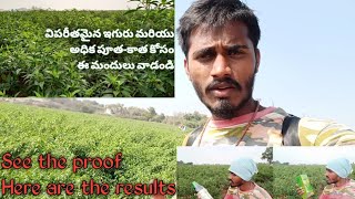 The best products for Vigorous Growth and Flowering! ఒకసారి వాడి చూడండి. 100% results - my Guarantee