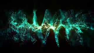 AFTER EFFECTS - TRAPCODE FORM EXPERIMENT