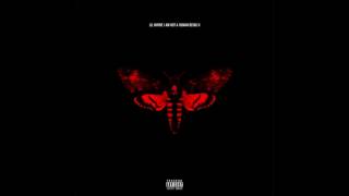 Lil Wayne Ft 2 Chainz - Days & Days *IANAHB2* (Official CDQ) -2/24/13-