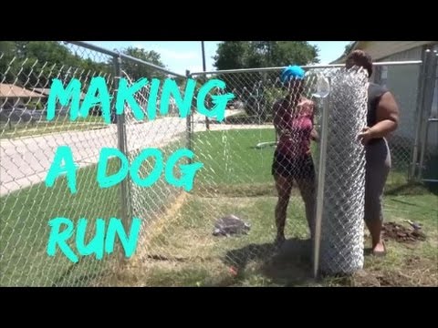 Building A Dog Run For These Crazy Dogs Building A Dog Run For These Crazy Dogs
