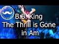 B.B. King Style Slow Blues Backing Track Jam in Am - VB006