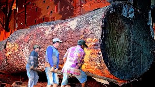 Extreme Wood Cutting Sawmill Machines || Amazing Woodworking Factory