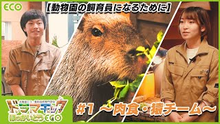 【動物園の飼育員になるために】#1 〜肉食・猿チーム〜