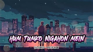 Hum Tumko Nigahon Mein | Slowed & Reverb | Love Lofi
