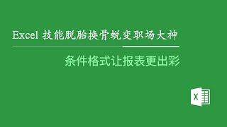 Excel 技能脱胎换骨蜕变职场大神：条件格式让报表更出彩