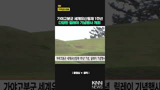 가야고분군 세계유산등재 1주년 기념, 릴레이 기념행사/ KNN