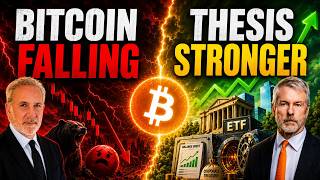 Bitcoin Is Crashing. The Bull Case Is Getting Stronger.