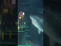 Brutal and Realistic Shark Attack