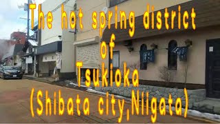 The hot spring district  of Tsukioka Shibata  (Shibata city, Niigata)　月岡温泉 温泉街（新潟県新発田市）