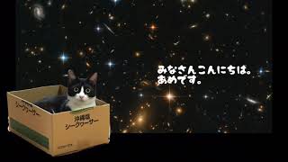 ［ショートバージョン］猫でもワカル宇宙の話＃1：ハッブル宇宙望遠鏡（1）