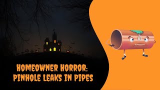 Homeowner Horror: Pinhole Leaks in Pipes