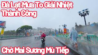 Đà Lạt Tiếp Tục Mưa Giải Nóng Thành Công Chờ Mai Sương Mù