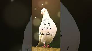 إن الله هو الرزاق ذو القوة المتين 🕊🤍