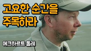 누구나 마음속에 고요한 공간이 있다 | 고요함의 지혜, 에크하르트 톨레