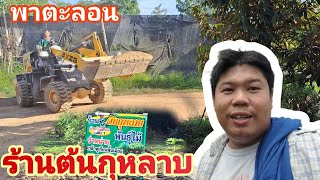 เปิดเผยเคล็ดลับของร้านต้นกุหลาบ | รับประกันคุณภาพต้นกล้าทุเรียน