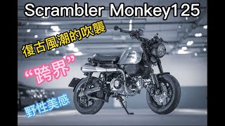 和興車業 ｜Scrambler Monkey125｜復古式樣｜客製大牌支架｜Nemoto｜拉髮絲油桶 ｜彩繪油桶｜HONDA Monkey125 ｜手工排氣管