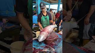 Amazing skills! cutting large size tuna very skillfully #tuna #tunacuttung #fishcutting #skills