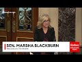 marsha blackburn claims trump s strong border actions are already yielding positive results