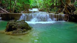 Fall Asleep INSTANTLY with cascading forest River \u0026 Waterfalls | 10 Hrs