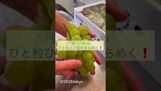 香川県産の高級ぶどうは翡翠みたい#2828tokyo #fruit #japan