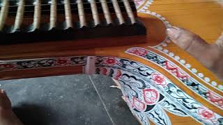 bobbili veena