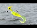 Cara Setting Softlure Untuk Ikan Predator Di Pinggiran laut | Mancing saat pasang naik #shorts