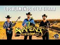 Los Alameños De La Sierra Mix Lo Más Chingones ~ Puras Cumbias Para Bailar ~100% Cumbias Sierreñas