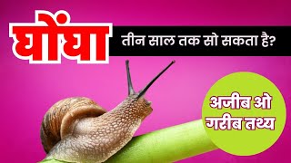 घोंघा के अजीब तथ्य 🤯| fact about Snail #viral #trending #subscribe