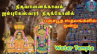 Thiruvanaikaval Jambukeshwara Temple |திருவானைக்காவல் ஜம்புகேஸ்வரர் கோவில் || கோவிலுக்கு போலாமா |