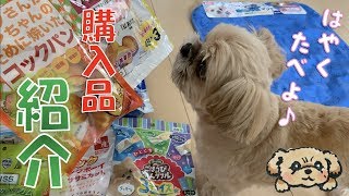 【犬グッズ】ペット用品♡おやつの購入品紹介 - Pet Supplies and Snacks -【チワワ×シーズー】