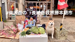 #柴犬岳の　「長崎壱岐旅」勝本朝市の