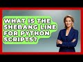 What Is The Shebang Line For Python Scripts? - Python Code School