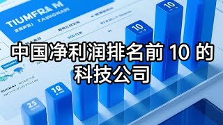 中国净利润排名前 10 的科技公司