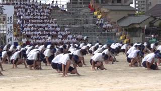 2013 筑紫中央高校体育祭 青ブロックダンス