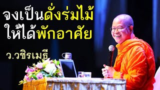 จงเป็นดั่งร่มไม้ ให้ได้พักอาศัย โดย ท่าน ว.วชิรเมธี (พระเมธีวชิโรดม - พระมหาวุฒิชัย) ไร่เชิญตะวัน