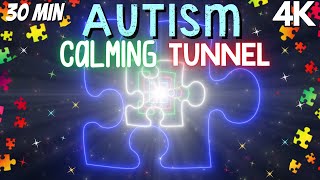 Autism Calming Music Light it up Blue Awareness Tunnel