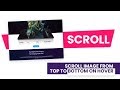 Image Scroll From Top to Bottom On Hover | CSS Image Hover Effects