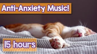 Calming Music For Cats With Anxiety Deep Soothing Music For Anxious Ill And Stressed Cats 2018