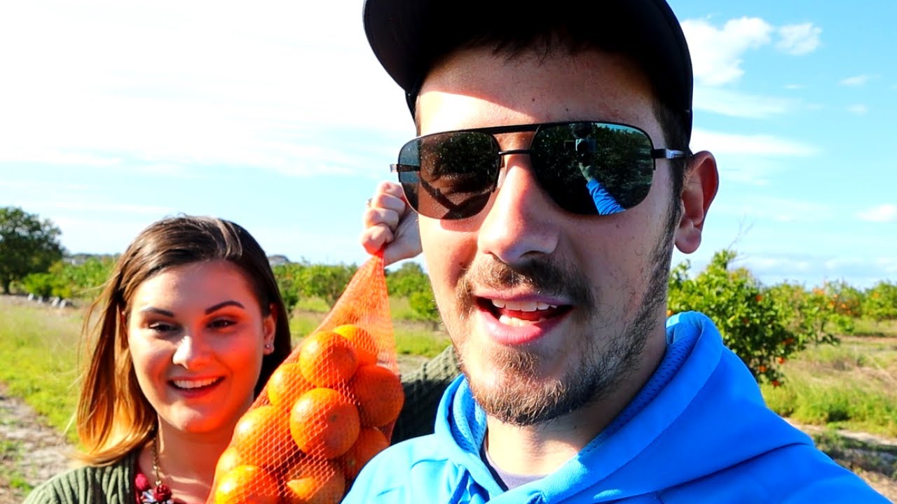 Orange Picking Florida Youtube