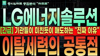 [LG에너지솔루션 주가전망]\