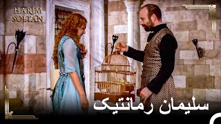 هدیه پرنده از سوی سلیمان به حُرّام - عشق حرم و سلیمان#38 | حريم سلطان