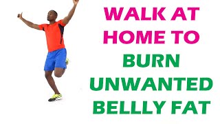Walk At Home Burn Belly Fat in 20 Minutes/ Indoor Walking Workout for Beginners