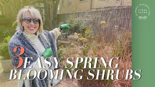 3 Blooming Spring Shrubs You Must Have