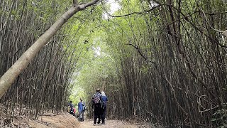 老友鬼鬼去行山-河背水塘家樂徑4K｜Ho Pui Reservoir Family Walk｜元朗八鄉｜錦田河上游｜