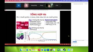 Các thể lâm sàng bệnh lý Hemoglobin P1