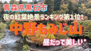 黒石市　中野もみじ山　夜の紅葉絶景ランキング第１位！昼の動画だけど