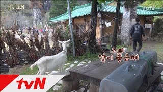 삼시세끼 -  Ep.05 : 잭슨, 오빠만 믿어!