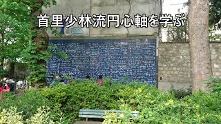 首里少林流円心軸「ティジクンストーリー」武術を学ぶ