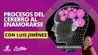 ¿Qué sucede en el cerebro cuando nos enamoramos? Llego la Noche con Alba Cecilia Mujica